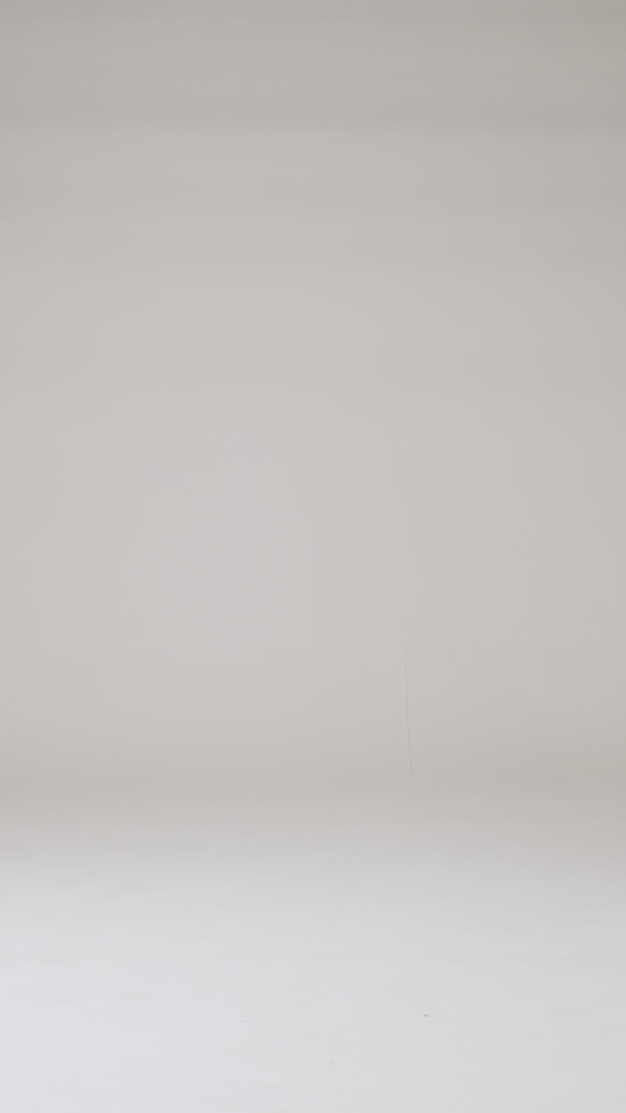 ANGEL FLARE PANTS BLUE